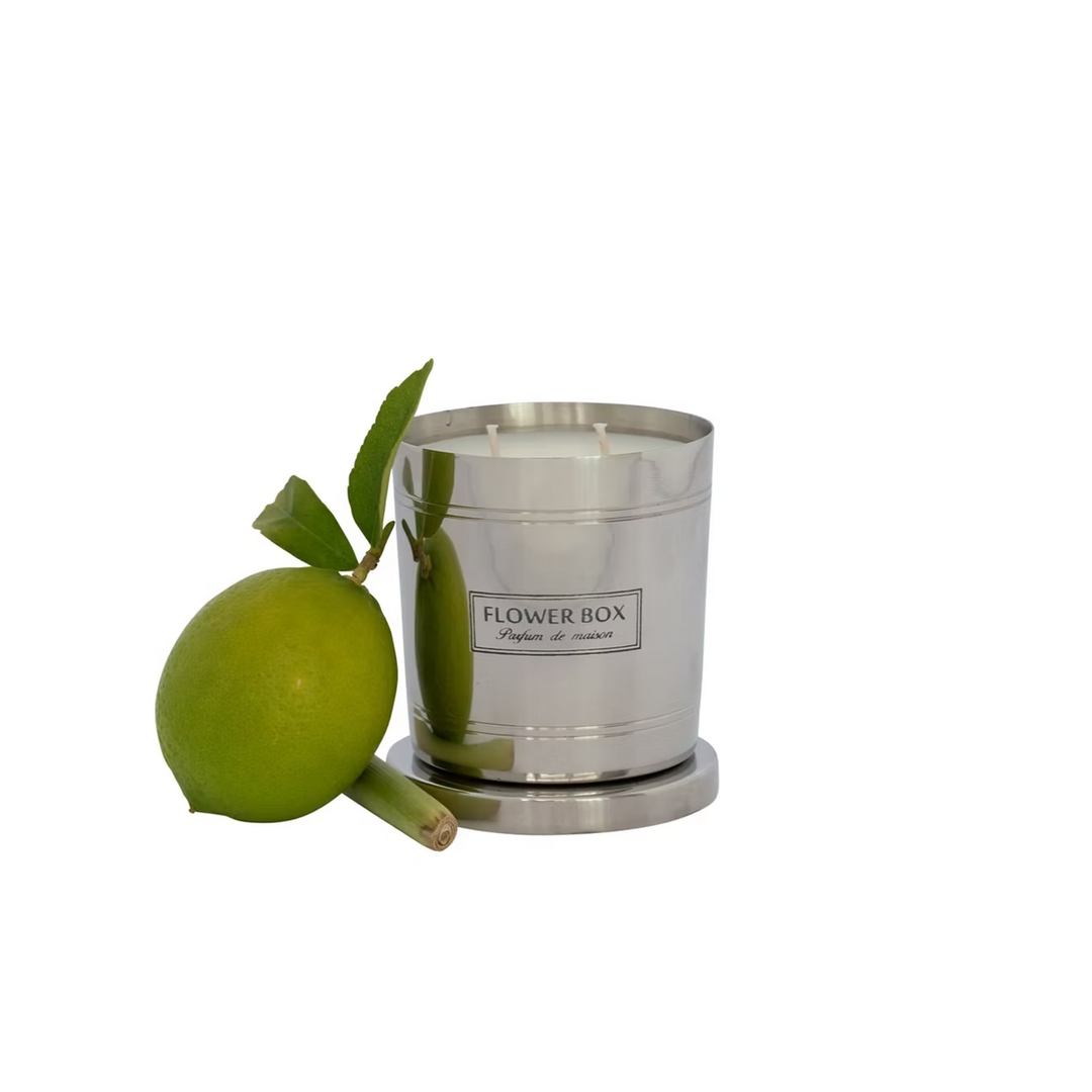 Fresh Lemongrass - Standard Candle (300g)