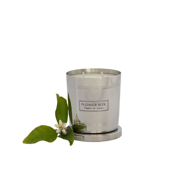Fig Leaf & Cedar - Standard Candle (300g)