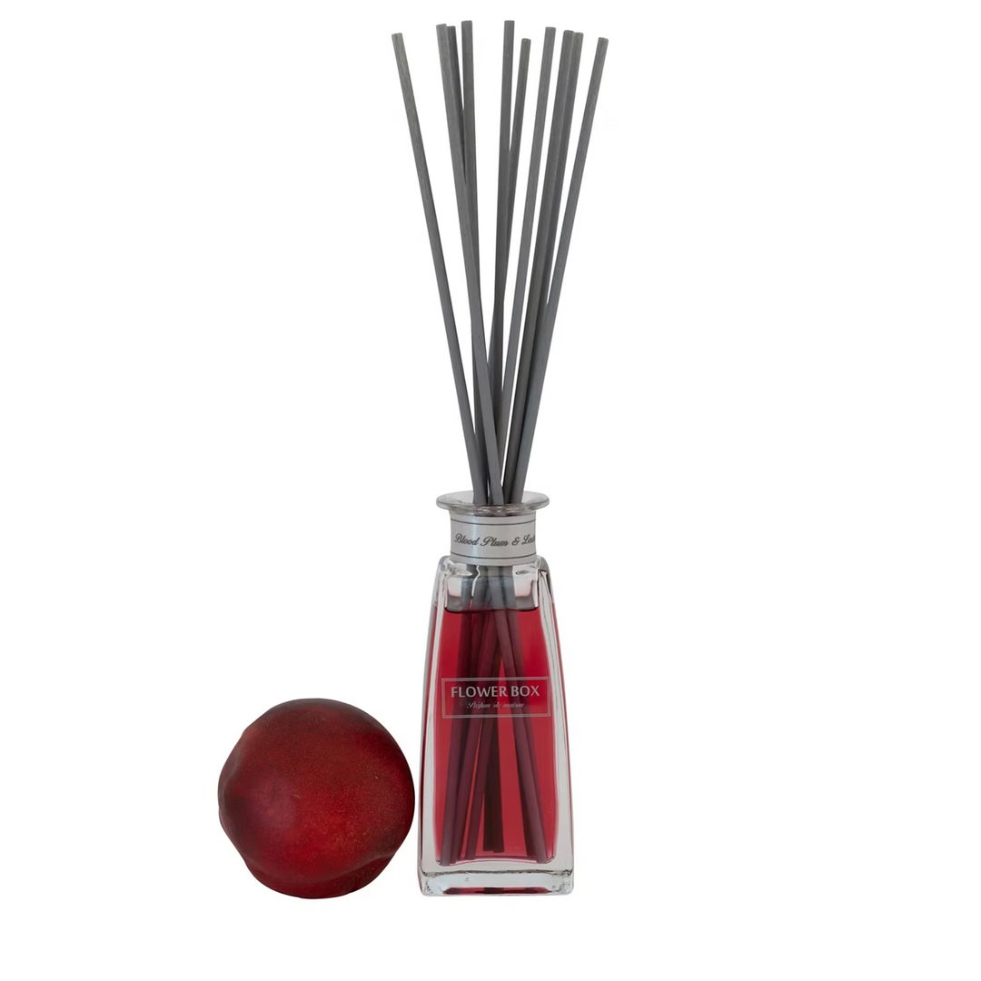 Blood Plum & Leather- Mini Diffuser (100ml)