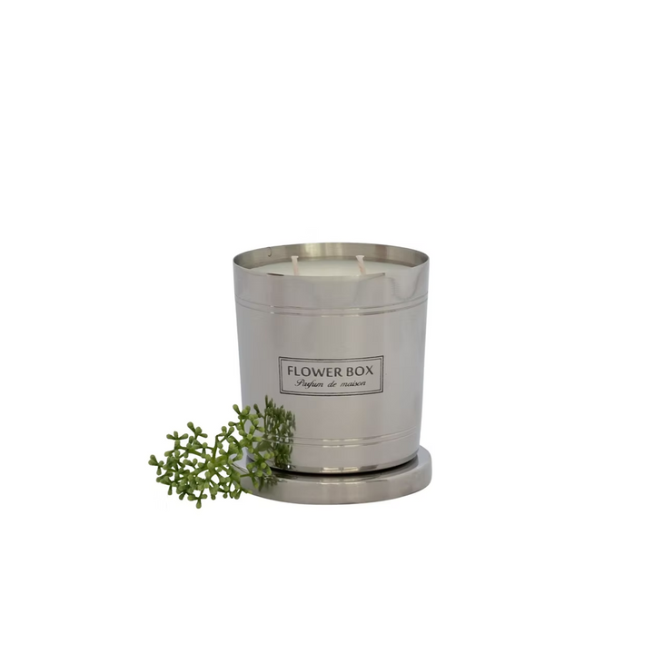 Magnolia & Green Leaves - Standard Candle (300g)
