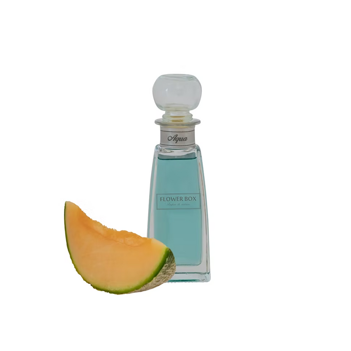 Aqua - Mini Diffuser (100ml)