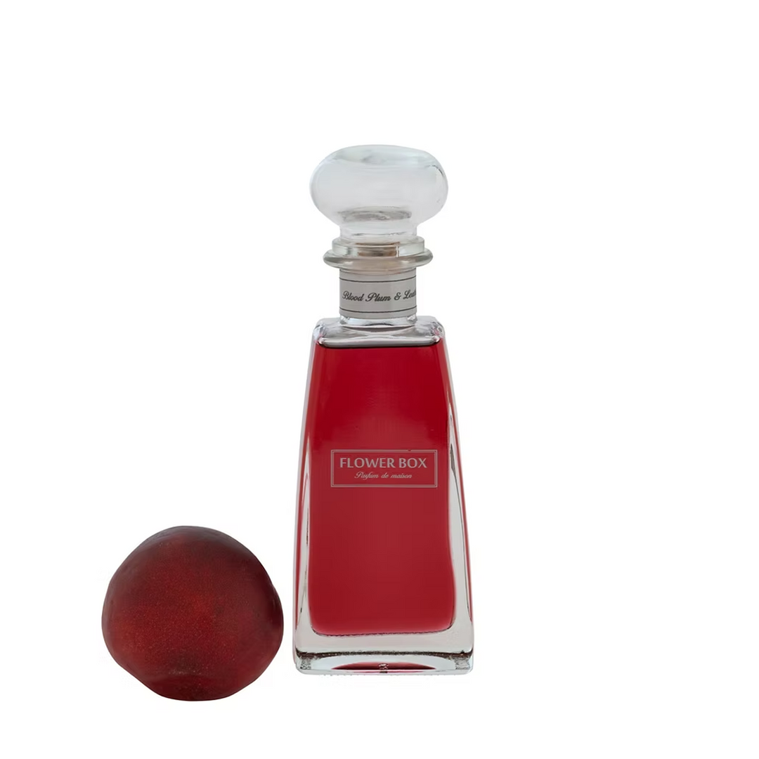Blood Plum & Leather - Standard Diffuser (210ml)