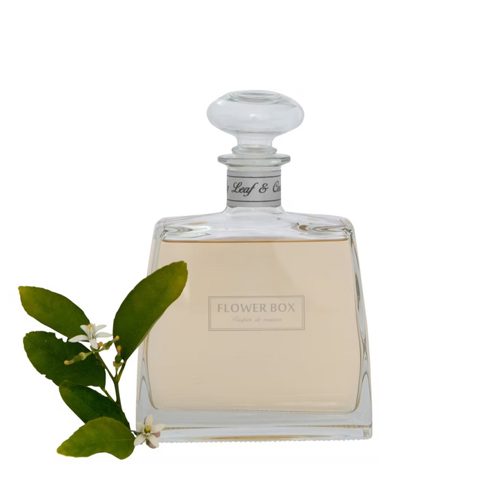 Fig Leaf & Cedar - Hallmark Diffuser (700ml)