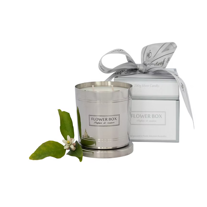 Fig Leaf & Cedar - Standard Candle (300g)
