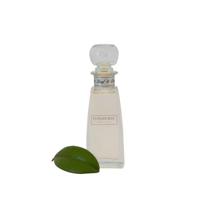 Fig Leaf & Cedar - Mini Diffuser (100ml)