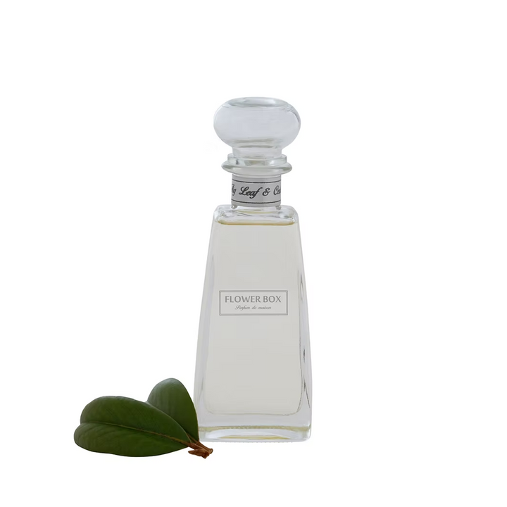 Fig Leaf & Cedar - Standard Diffuser (210ml)