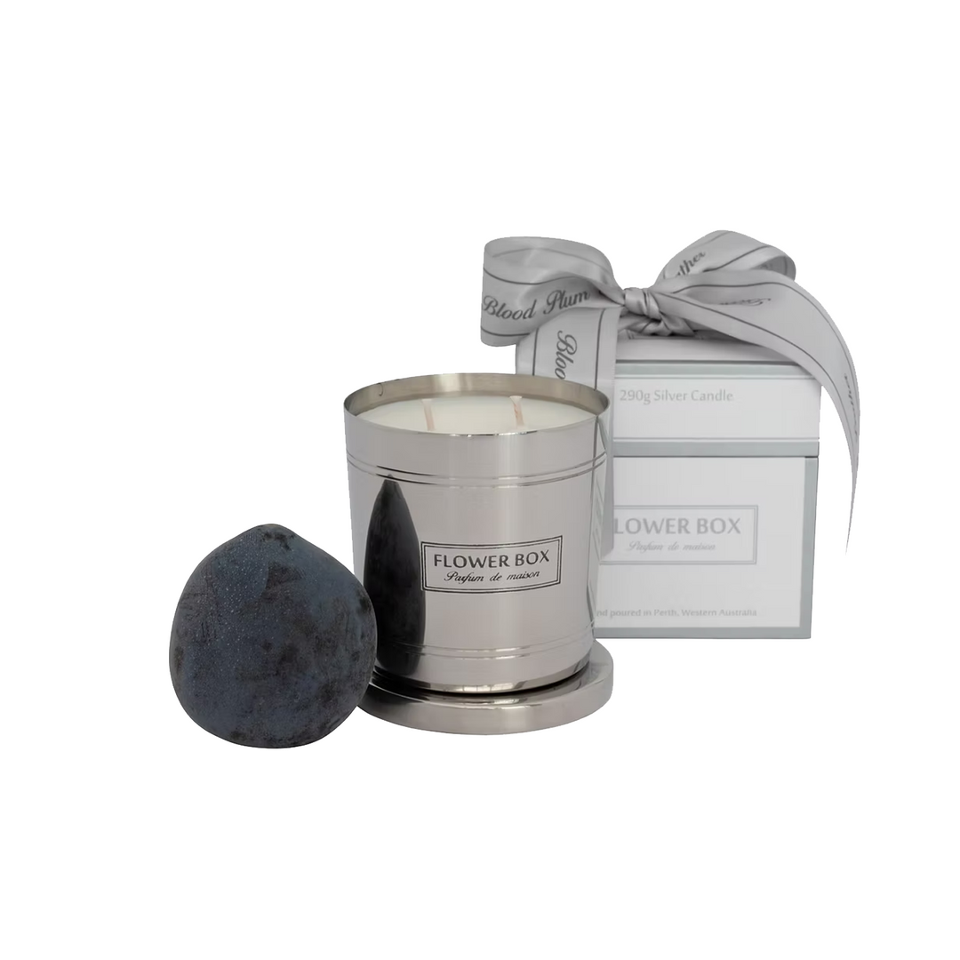 Blood Plum & Leather - Standard Candle (300g)