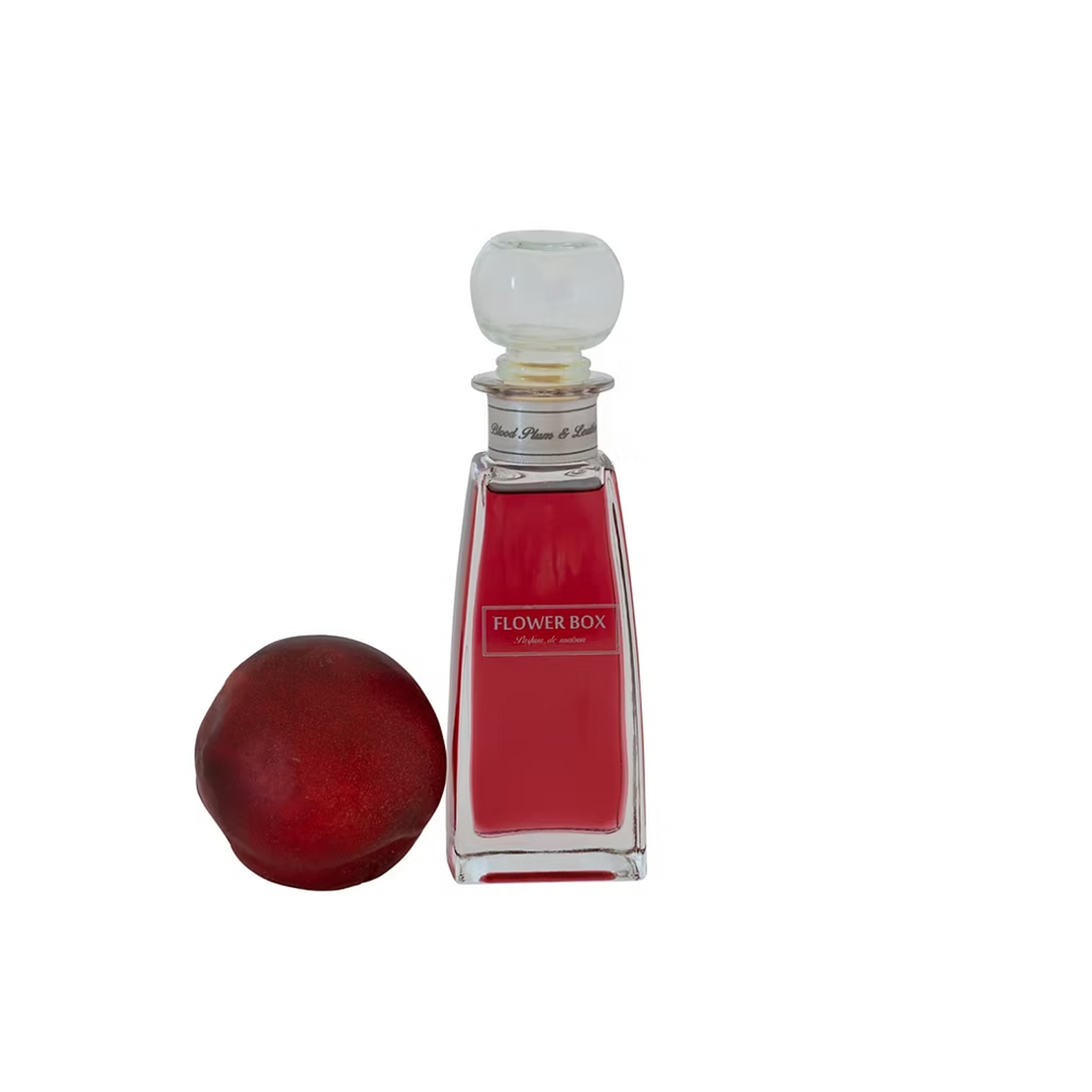 Blood Plum & Leather- Mini Diffuser (100ml)