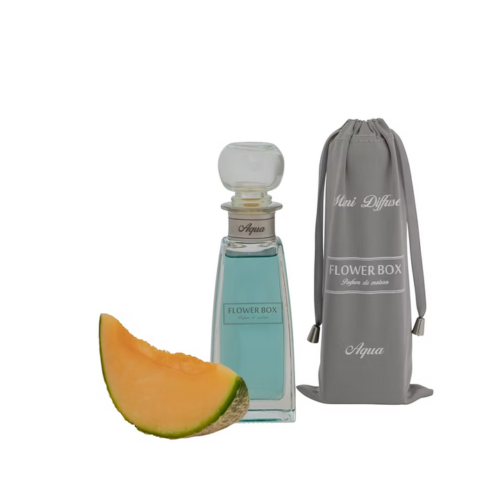 Aqua - Mini Diffuser (100ml)