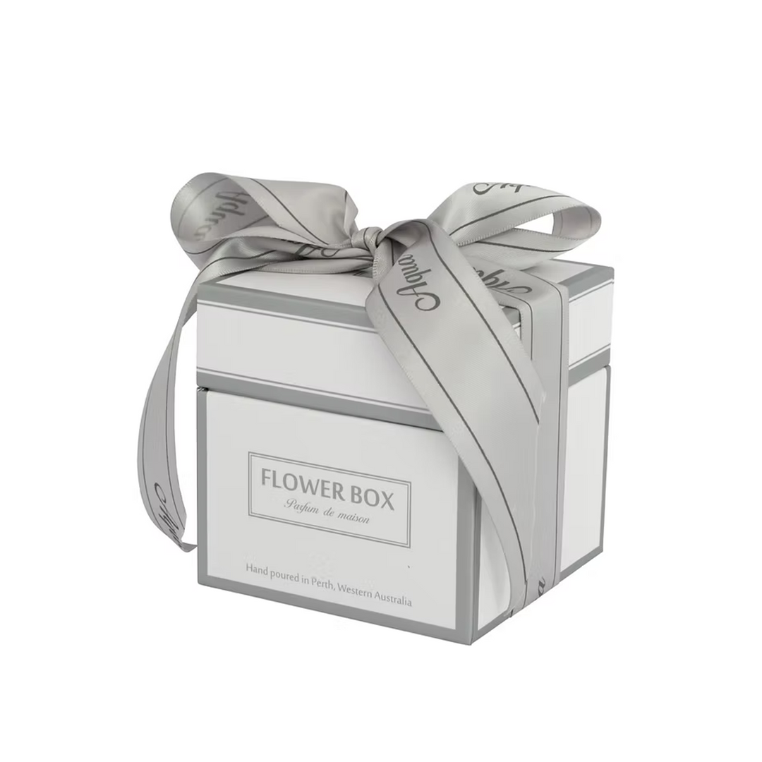 Aqua - The Standard Candle (300g)