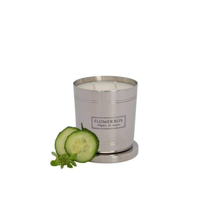 Cucumber & Wild Basil - Standard Candle (300g)