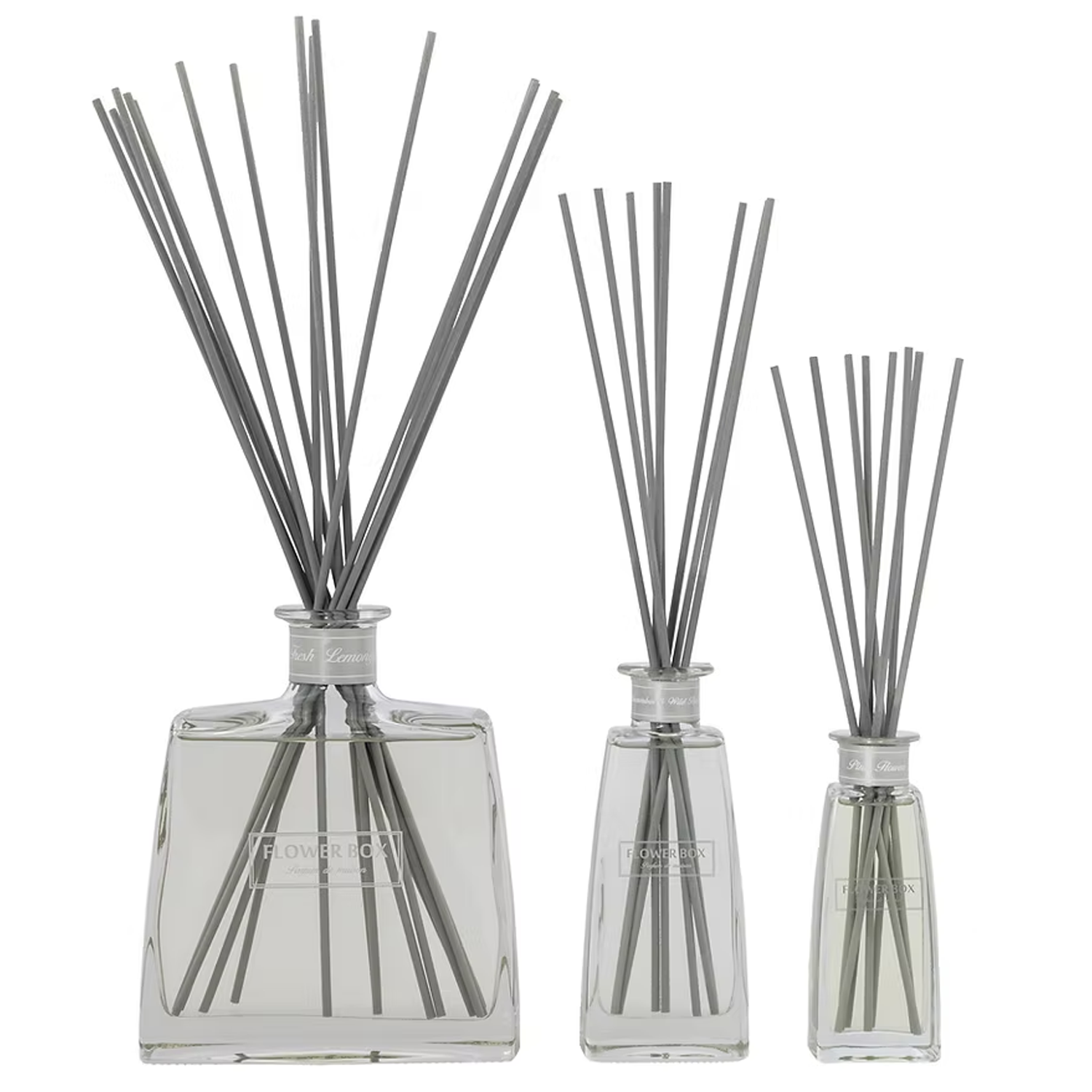 Absolute Package Diffuser – Flower Box Home Fragrance