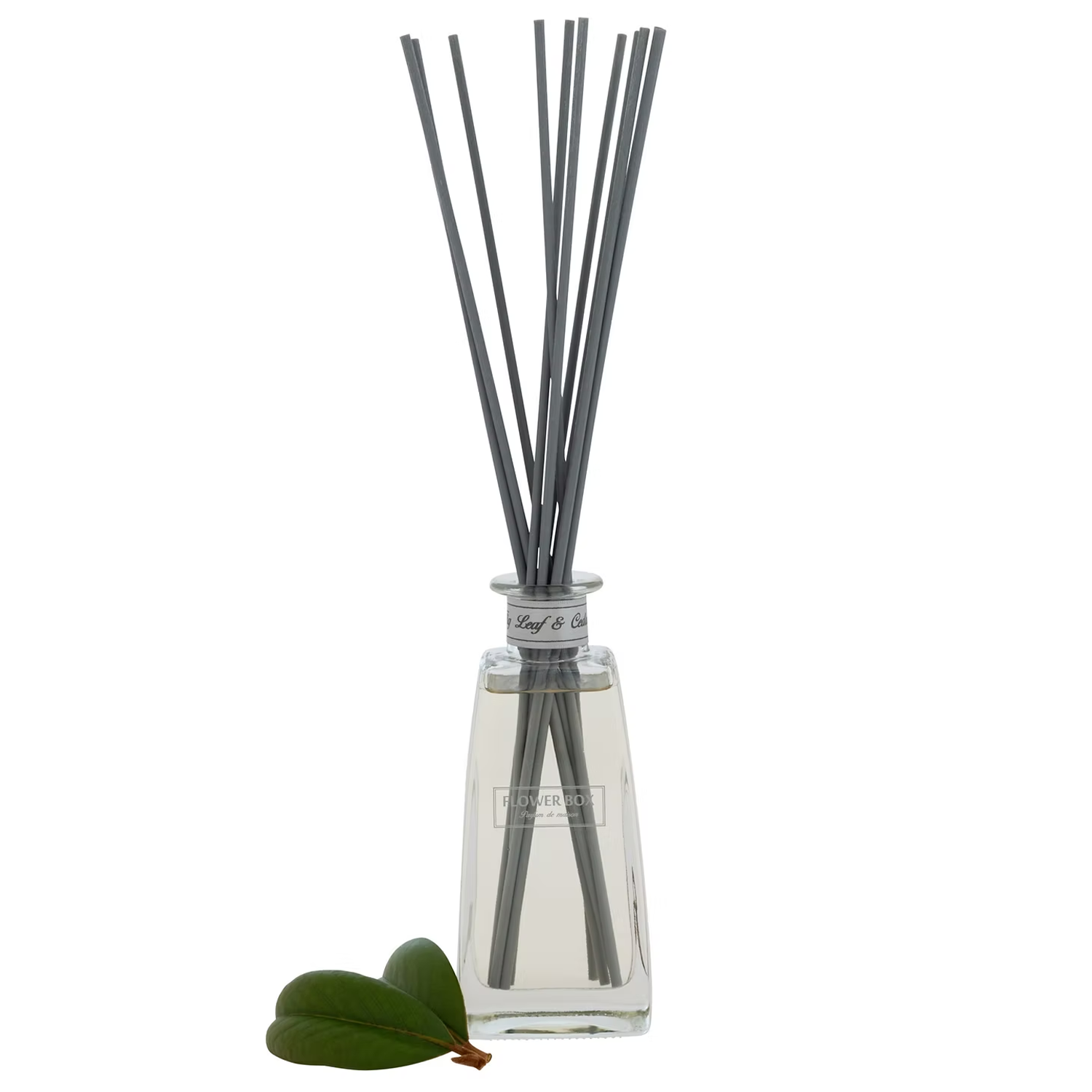 Fig Leaf & Cedar - Standard Diffuser (210ml) – Flower Box Home Fragrance