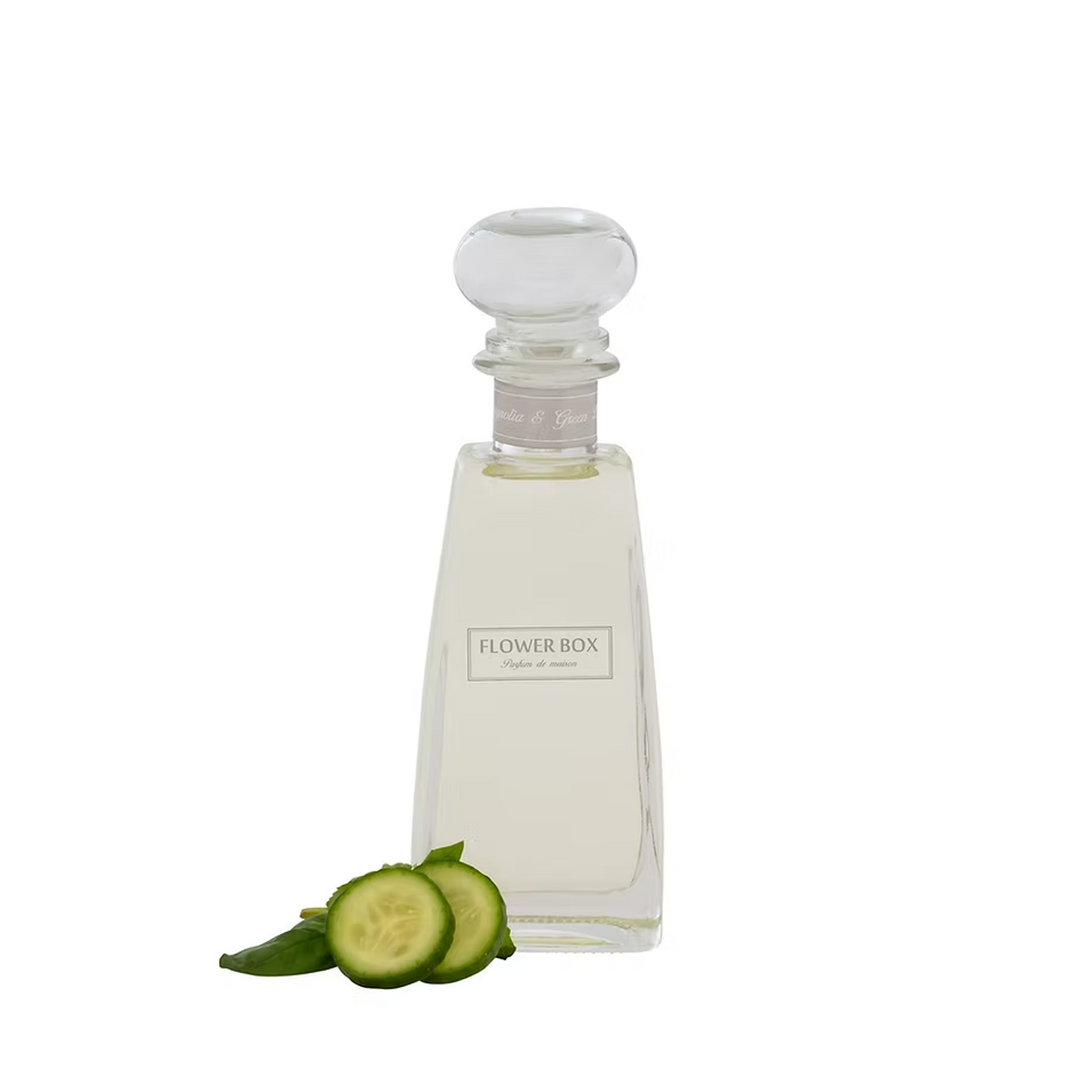 Cucumber & Wild Basil - Standard Diffuser (210ml)