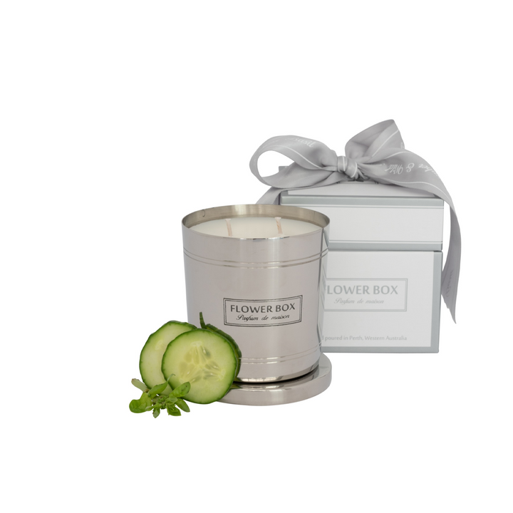 Cucumber & Wild Basil - Standard Candle (300g)
