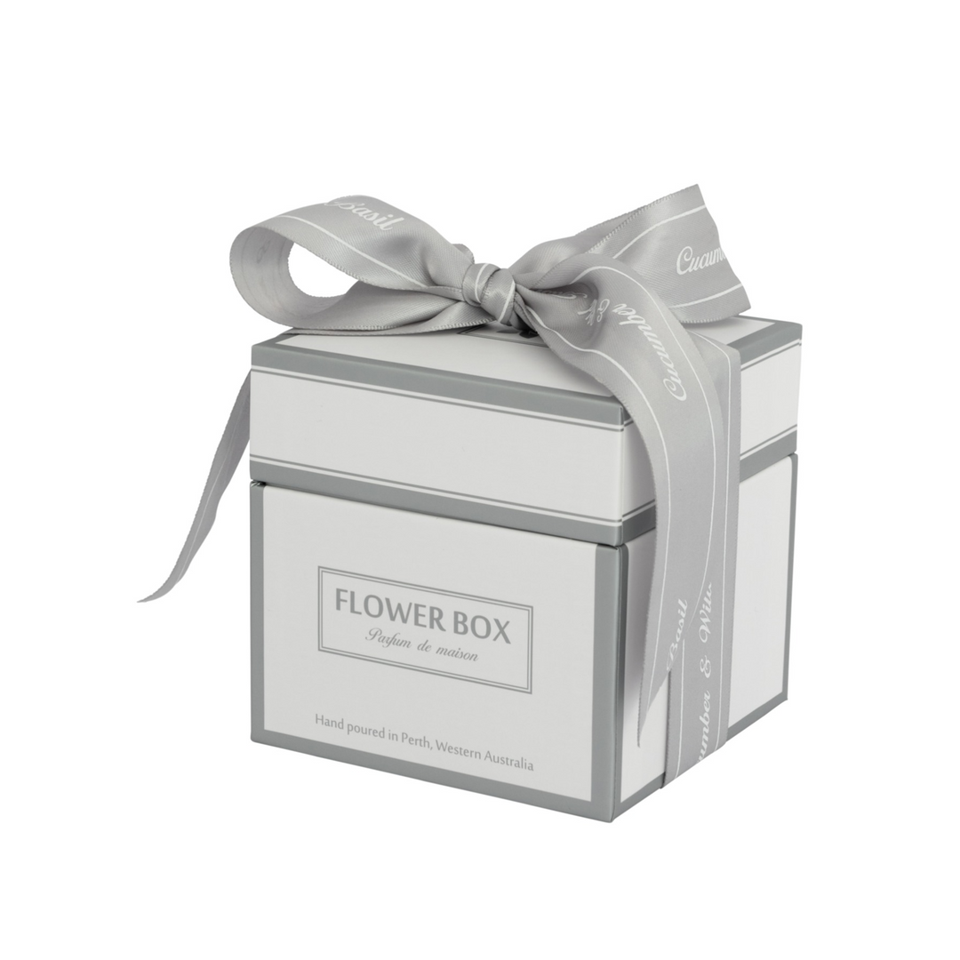 Cucumber & Wild Basil - Standard Candle (300g)