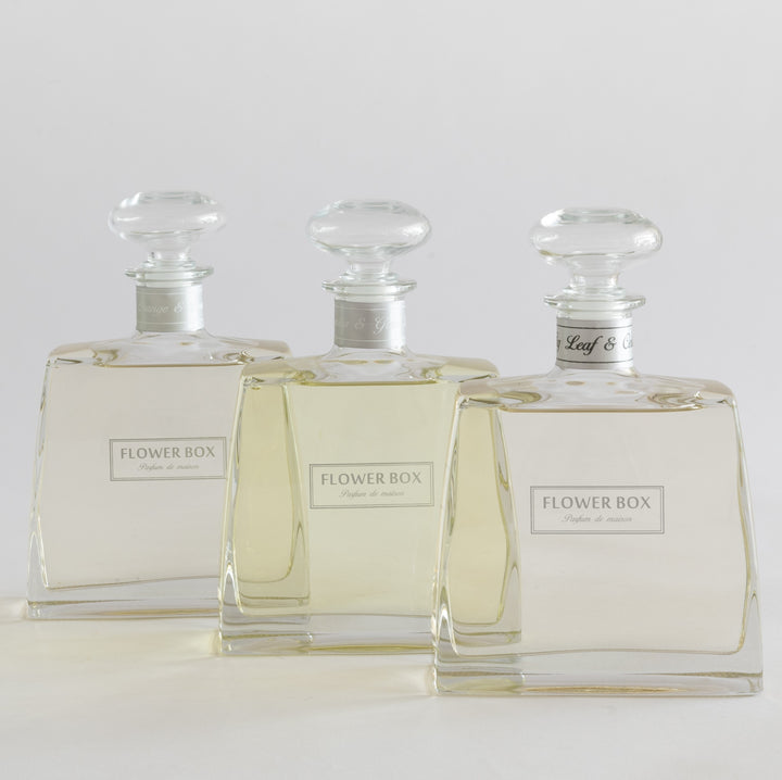 Mystery Fragrance Trio Package (Imperfect)