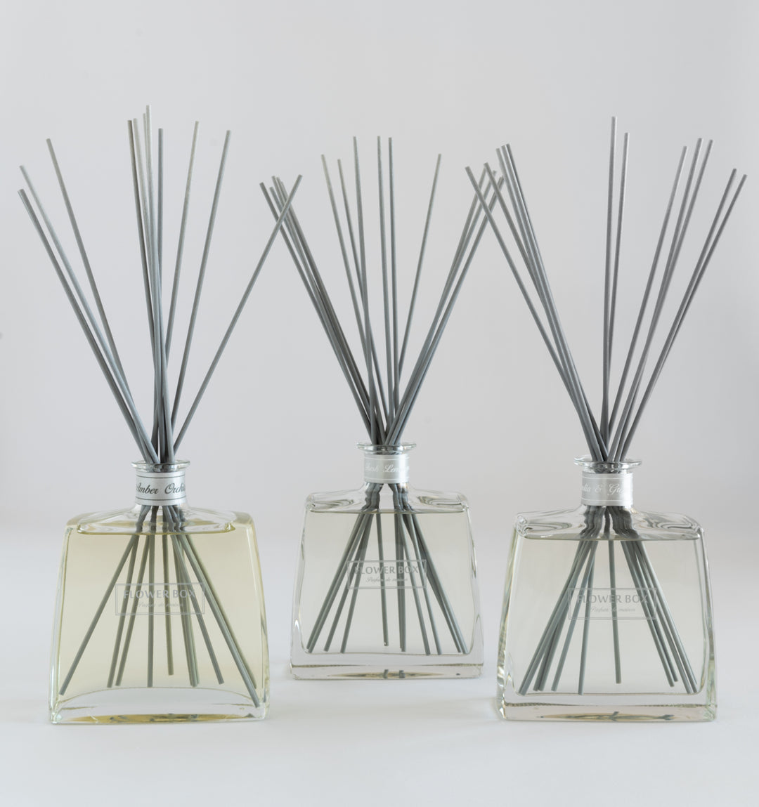 Mystery Fragrance Trio Package (Imperfect)
